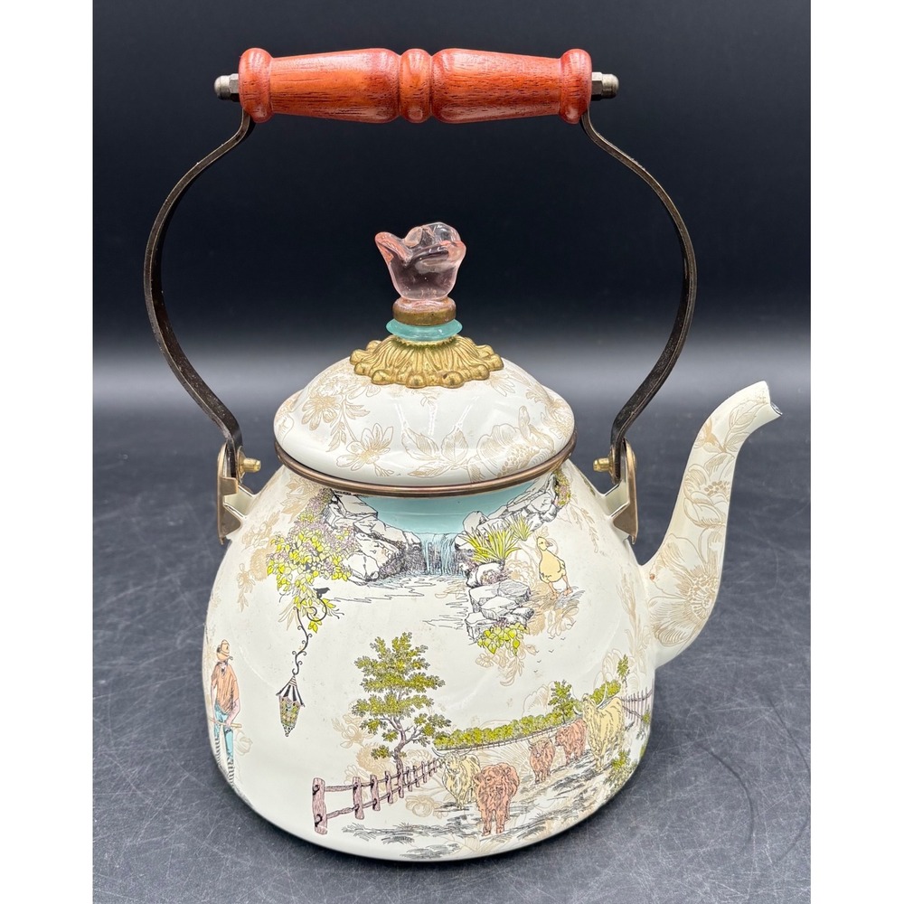 Vtg Rare MacKenzie-Childs Farmhouse Enamel Tea Kettle Wood Handle Pink Aurora
